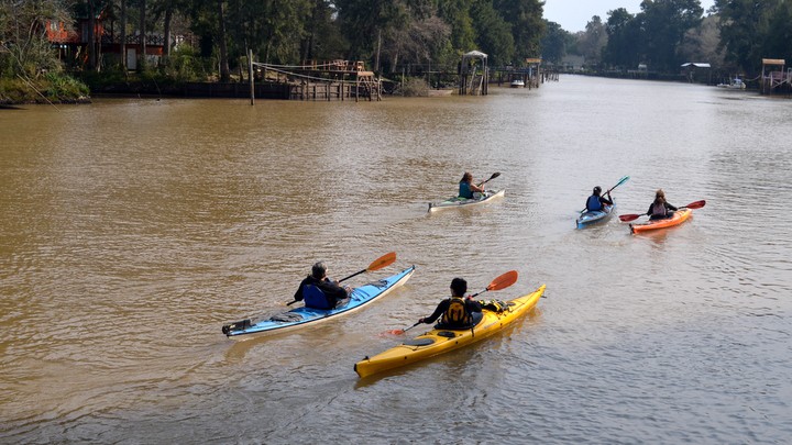 Paseos en Kayak por el Delta