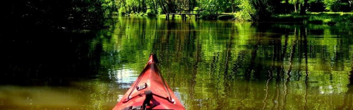 Paseos en Kayak por el Delta